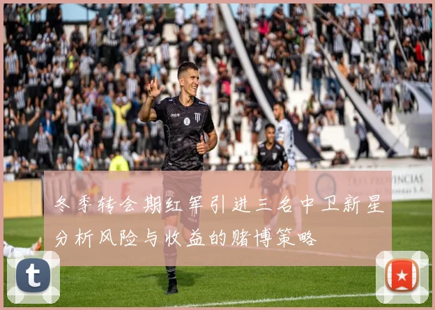 冬季转会期红军引进三名中卫新星分析风险与收益的赌博策略