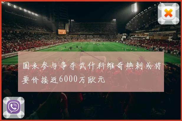 国米参与争夺武什科维奇热刺或将要价接近6000万欧元