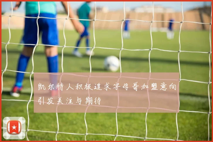 凯尔特人积极追求字母哥加盟意向引发关注与期待