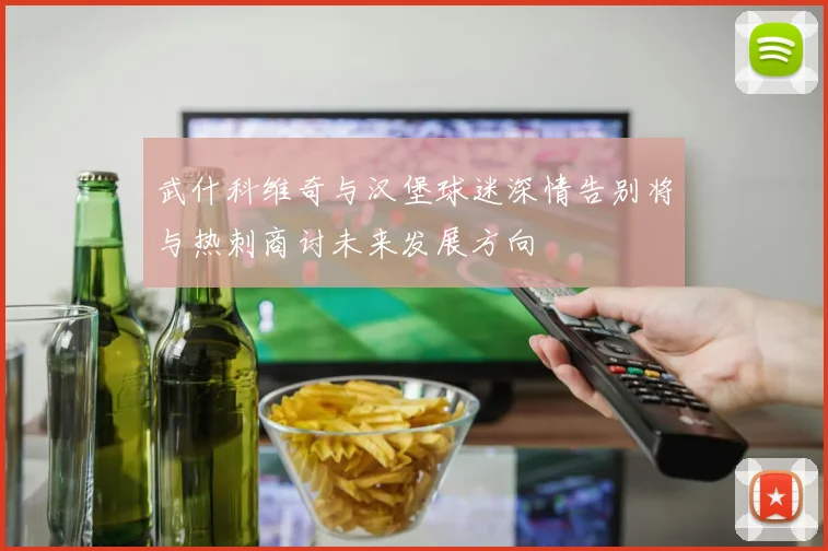 武什科维奇与汉堡球迷深情告别将与热刺商讨未来发展方向